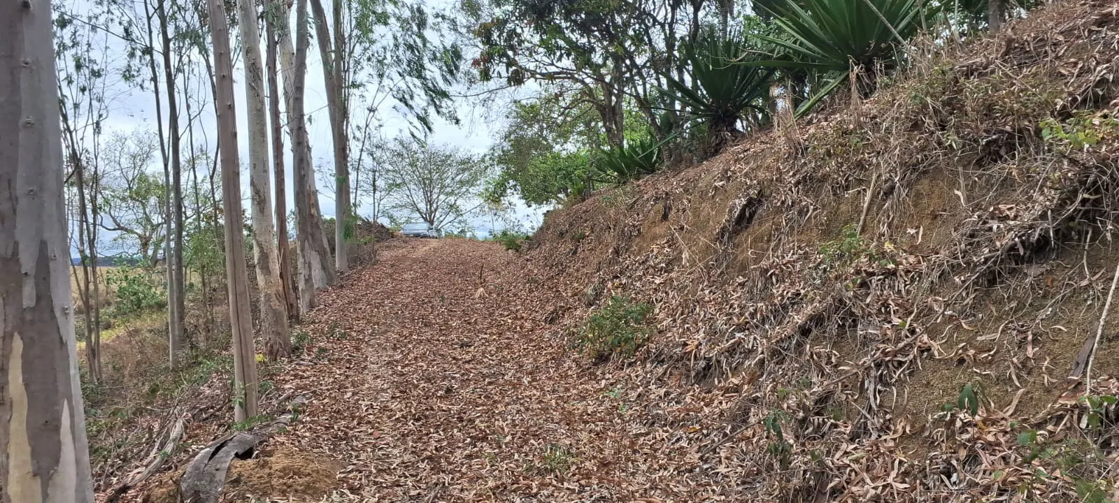 Terreno à venda de 2 ha em São José dos Campos, SP, Brasil