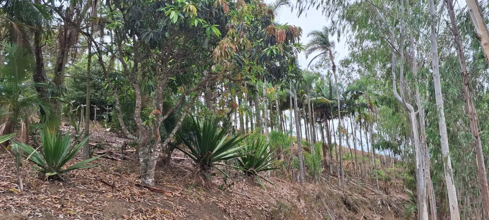 Terreno à venda de 2 ha em São José dos Campos, SP, Brasil