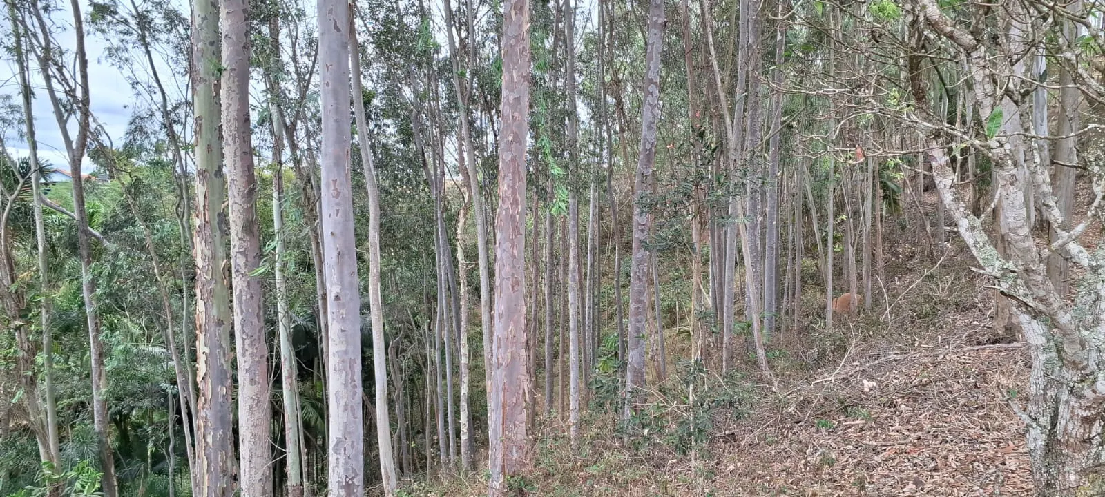 Terreno à venda de 2 ha em São José dos Campos, SP, Brasil