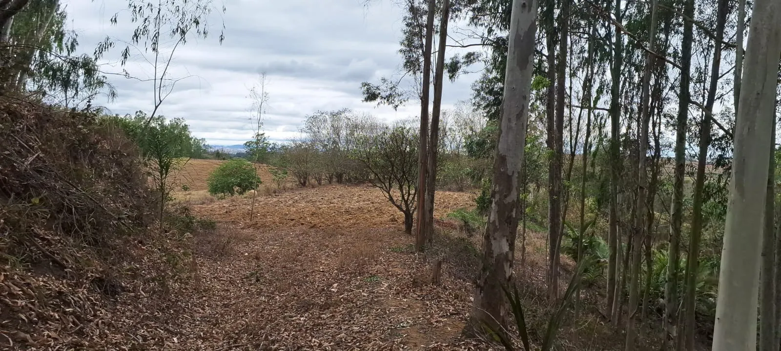 Terreno à venda de 2 ha em São José dos Campos, SP, Brasil
