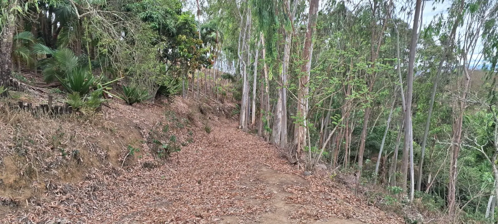 Terreno à venda de 2 ha em São José dos Campos, SP, Brasil