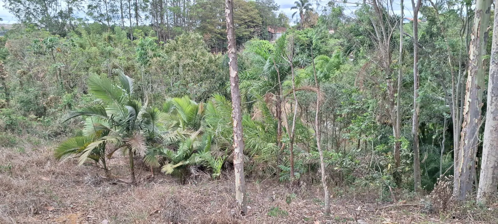 Terreno à venda de 2 ha em São José dos Campos, SP, Brasil