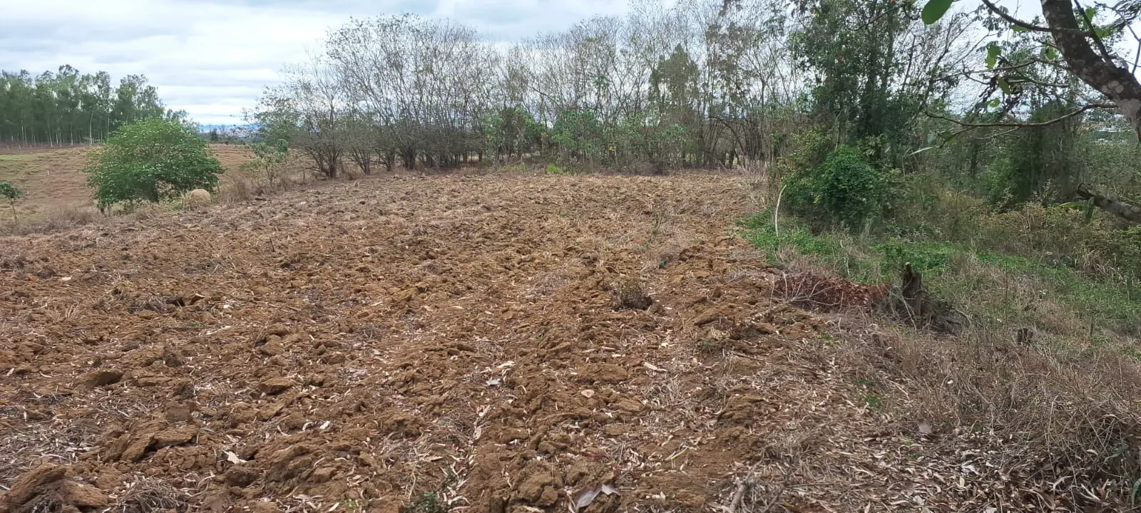 Terreno à venda de 2 ha em São José dos Campos, SP, Brasil