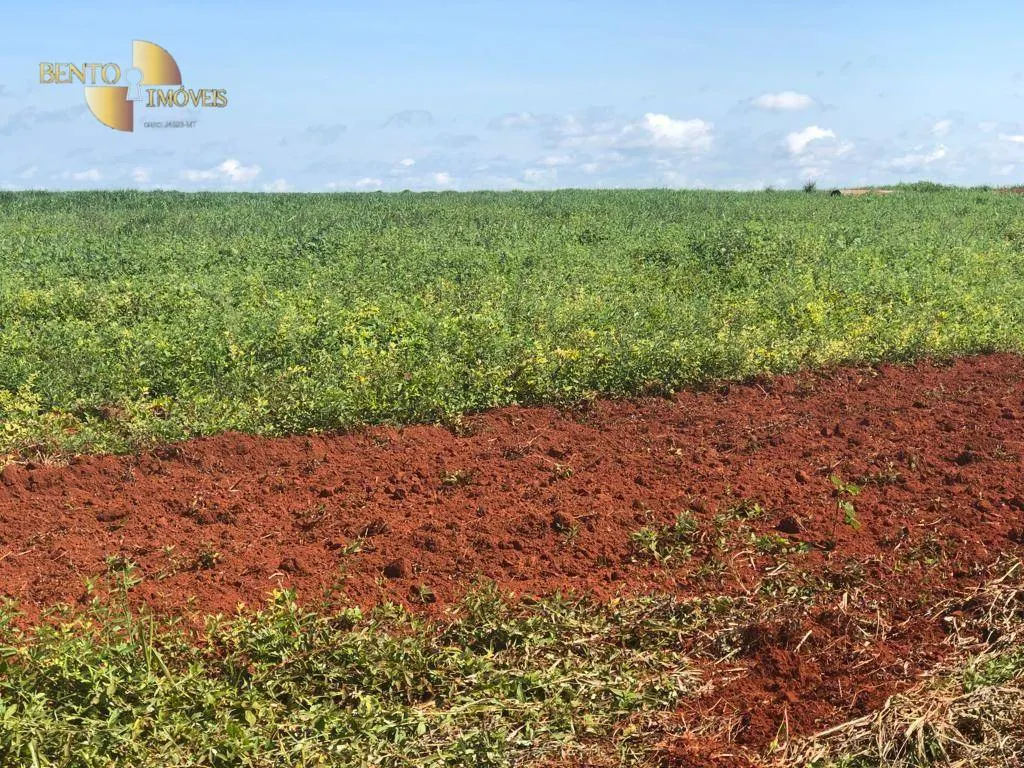 Fazenda à venda de 13.161 ha em Vila Bela da Santíssima Trindade, MT, Brasil