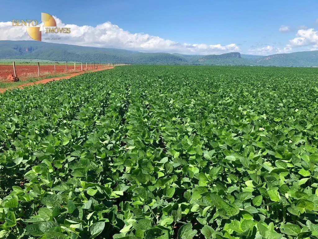 Fazenda à venda de 13.161 ha em Vila Bela da Santíssima Trindade, MT, Brasil