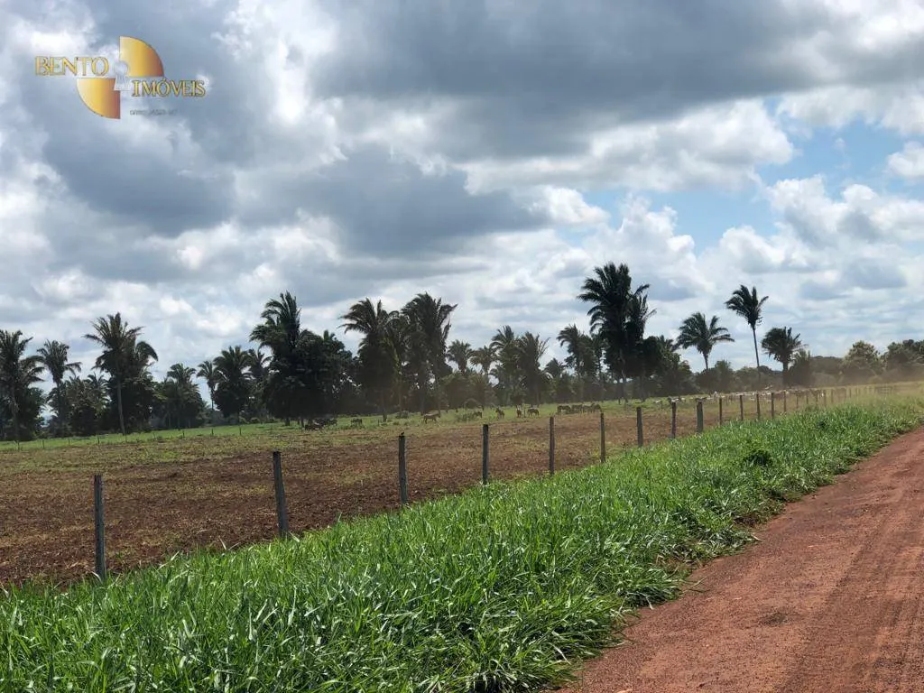 Fazenda à venda de 13.161 ha em Vila Bela da Santíssima Trindade, MT, Brasil