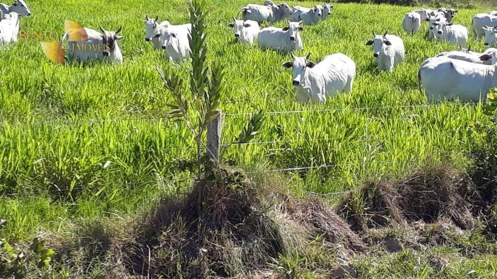 Fazenda à venda de 13.161 ha em Vila Bela da Santíssima Trindade, MT, Brasil