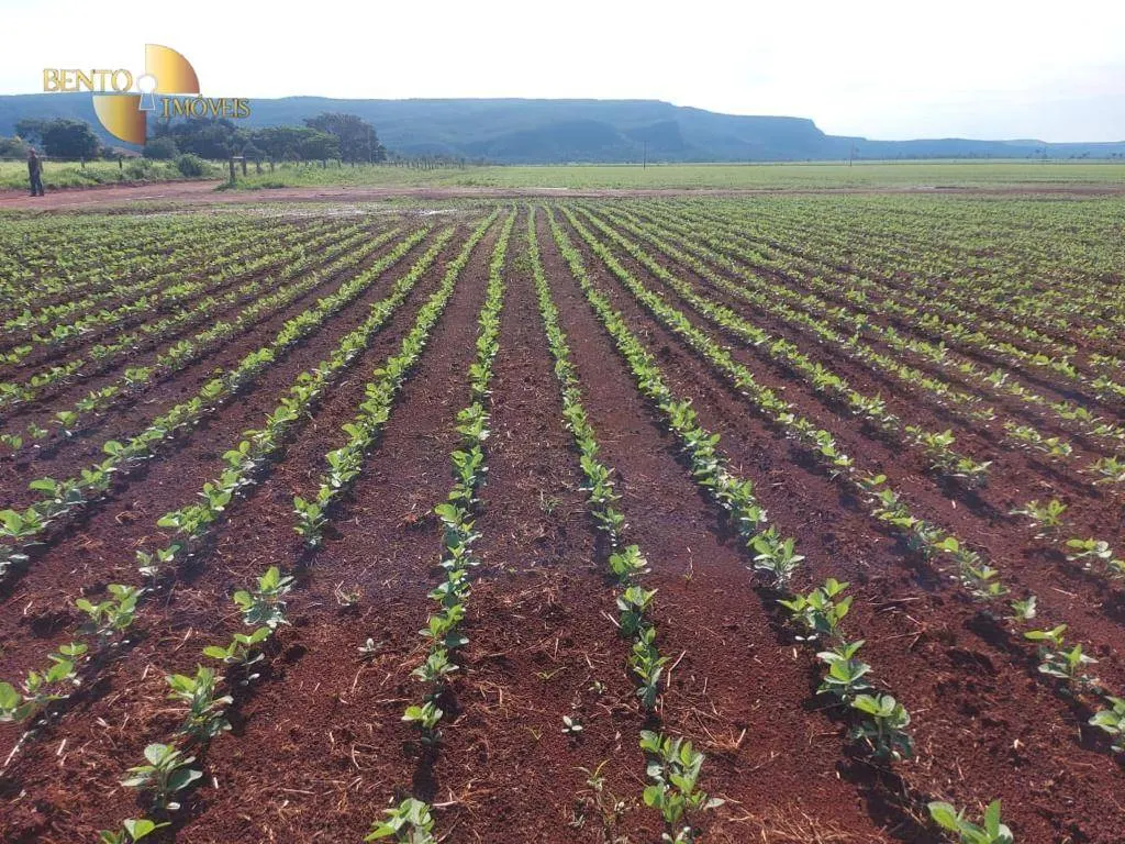 Fazenda à venda de 13.161 ha em Vila Bela da Santíssima Trindade, MT, Brasil