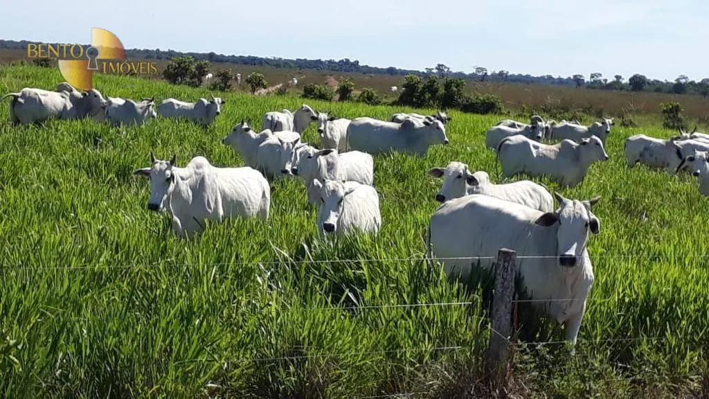 Fazenda à venda de 13.161 ha em Vila Bela da Santíssima Trindade, MT, Brasil