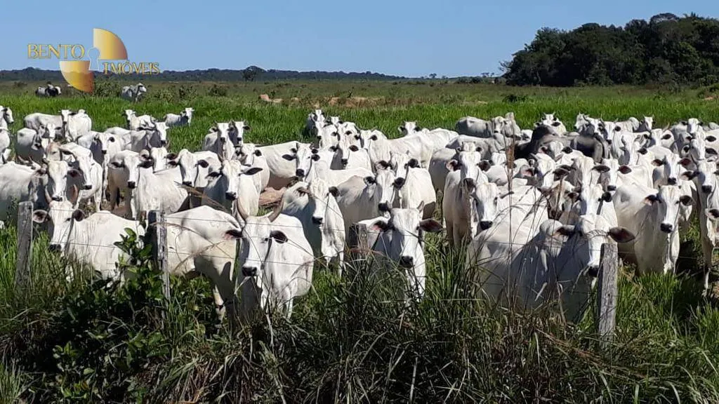 Fazenda à venda de 13.161 ha em Vila Bela da Santíssima Trindade, MT, Brasil