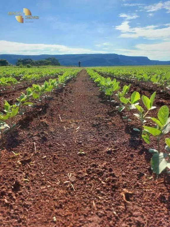 Fazenda à venda de 13.161 ha em Vila Bela da Santíssima Trindade, MT, Brasil