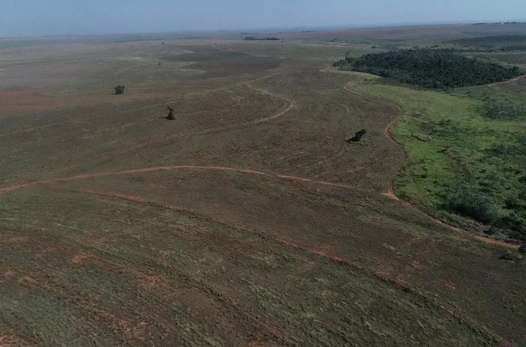 Fazenda à venda de 540 ha em Presidente Epitácio, SP, Brasil