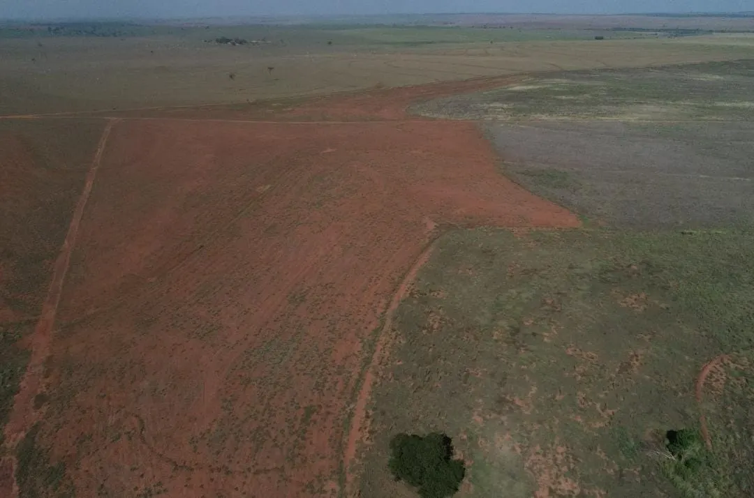 Fazenda à venda de 540 ha em Presidente Epitácio, SP, Brasil