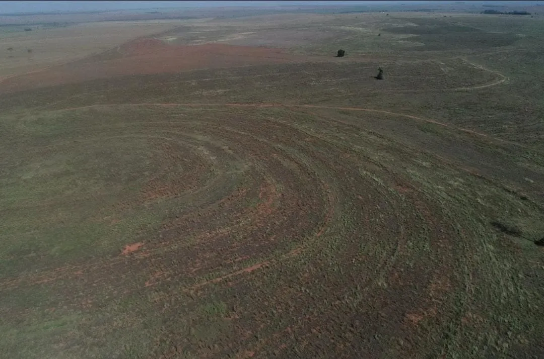 Fazenda à venda de 540 ha em Presidente Epitácio, SP, Brasil