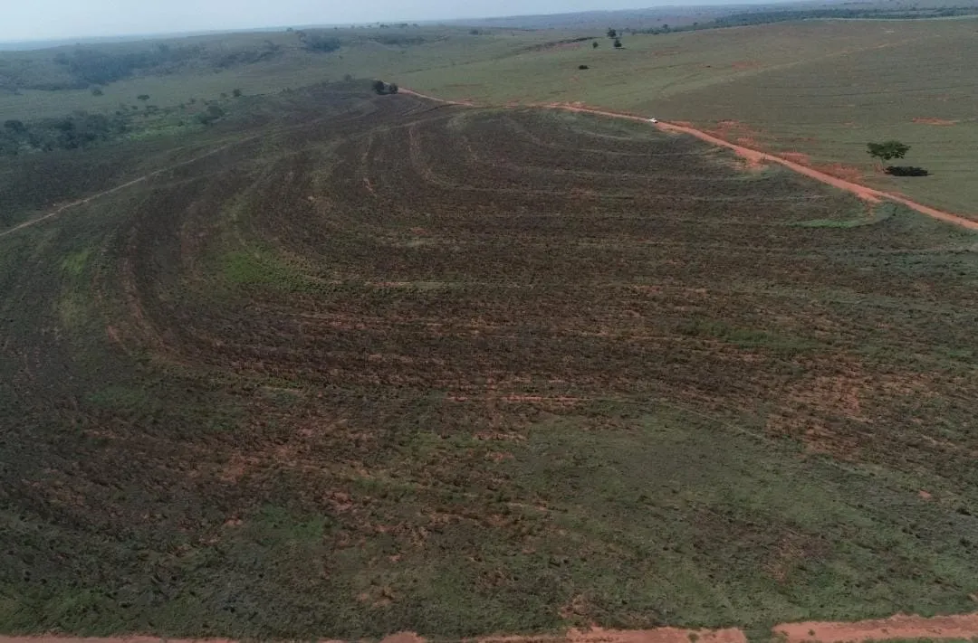 Fazenda à venda de 540 ha em Presidente Epitácio, SP, Brasil