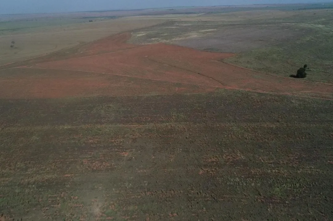 Fazenda à venda de 540 ha em Presidente Epitácio, SP, Brasil