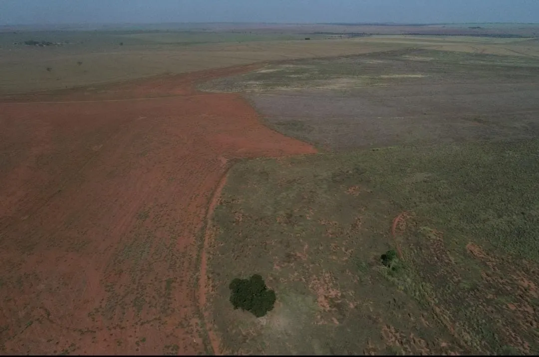 Fazenda à venda de 540 ha em Presidente Epitácio, SP, Brasil