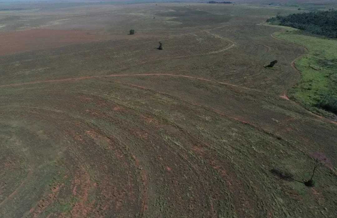 Fazenda à venda de 540 ha em Presidente Epitácio, SP, Brasil