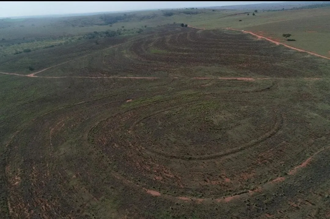 Fazenda à venda de 540 ha em Presidente Epitácio, SP, Brasil