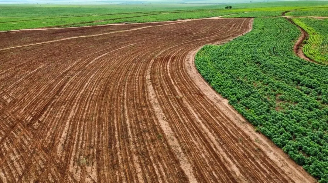 Fazenda à venda de 540 ha em Presidente Epitácio, SP, Brasil