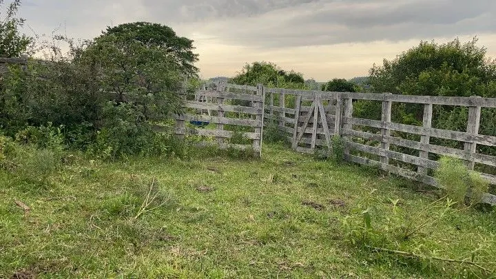Terreno à venda de 10 ha em Santo Antônio da Patrulha, RS, Brasil