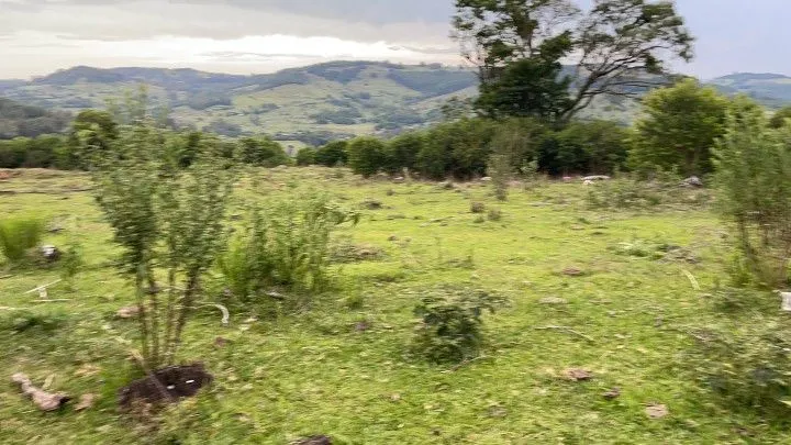 Terreno à venda de 10 ha em Santo Antônio da Patrulha, RS, Brasil