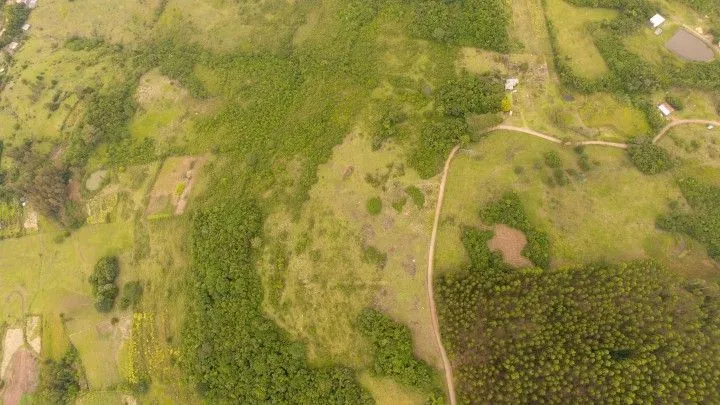 Terreno à venda de 10 ha em Santo Antônio da Patrulha, RS, Brasil