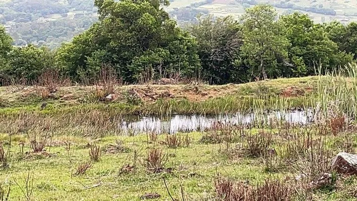 Terreno à venda de 10 ha em Santo Antônio da Patrulha, RS, Brasil