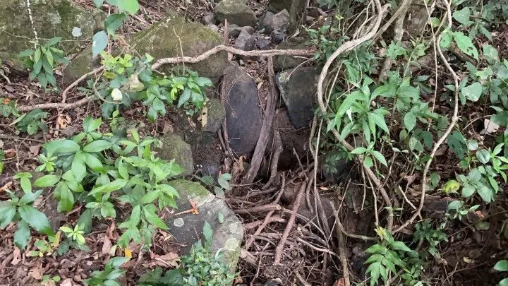 Terreno à venda de 10 ha em Santo Antônio da Patrulha, RS, Brasil