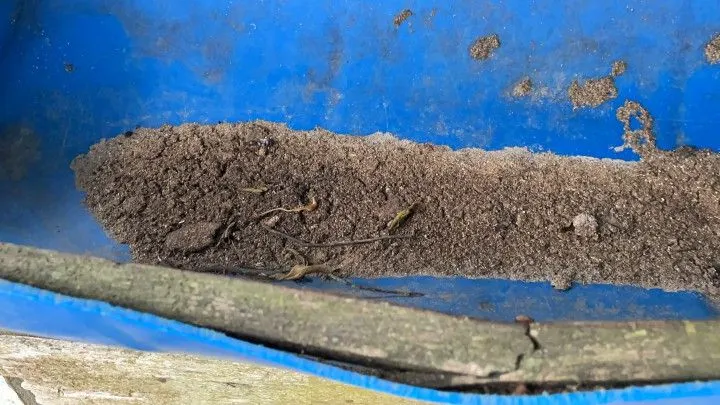 Terreno à venda de 10 ha em Santo Antônio da Patrulha, RS, Brasil