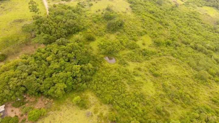 Terreno à venda de 10 ha em Santo Antônio da Patrulha, RS, Brasil
