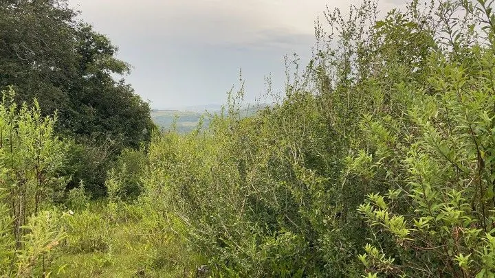 Terreno à venda de 10 ha em Santo Antônio da Patrulha, RS, Brasil