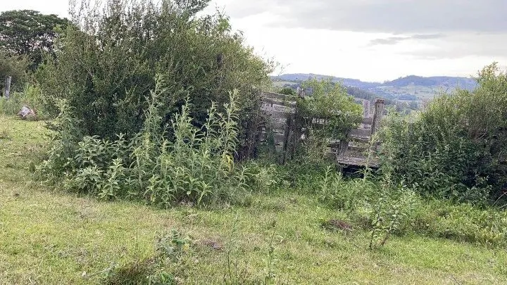 Terreno à venda de 10 ha em Santo Antônio da Patrulha, RS, Brasil