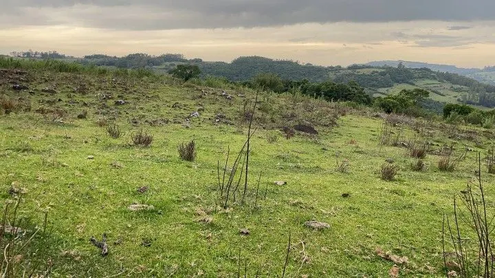 Terreno à venda de 10 ha em Santo Antônio da Patrulha, RS, Brasil