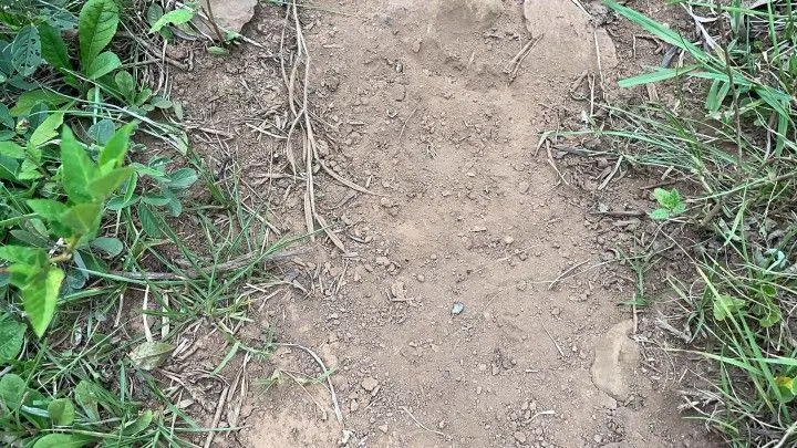 Terreno à venda de 10 ha em Santo Antônio da Patrulha, RS, Brasil