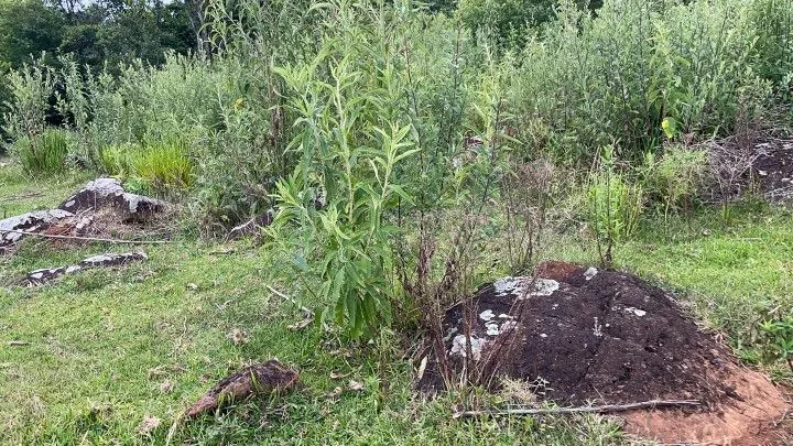 Terreno à venda de 10 ha em Santo Antônio da Patrulha, RS, Brasil