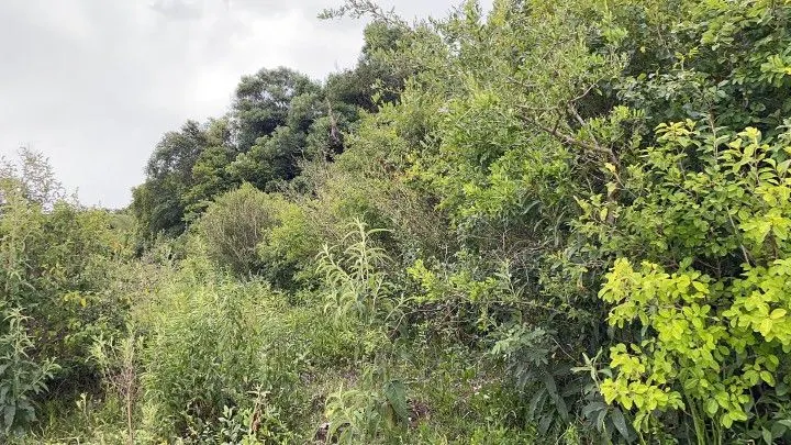 Terreno à venda de 10 ha em Santo Antônio da Patrulha, RS, Brasil