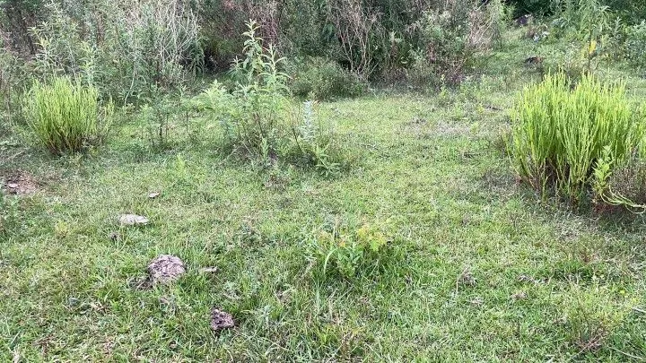 Terreno à venda de 10 ha em Santo Antônio da Patrulha, RS, Brasil