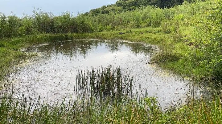 Terreno à venda de 10 ha em Santo Antônio da Patrulha, RS, Brasil