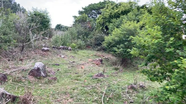 Terreno à venda de 10 ha em Santo Antônio da Patrulha, RS, Brasil