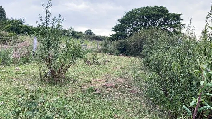 Terreno à venda de 10 ha em Santo Antônio da Patrulha, RS, Brasil