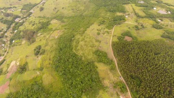 Terreno à venda de 10 ha em Santo Antônio da Patrulha, RS, Brasil
