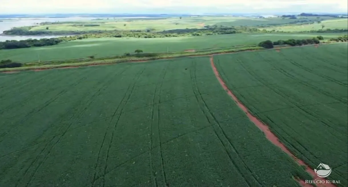 Fazenda à venda de 1.573 ha em Presidente Prudente, SP, Brasil