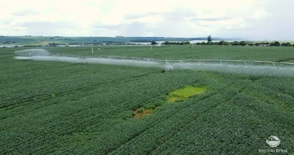 Fazenda à venda de 1.573 ha em Presidente Prudente, SP, Brasil