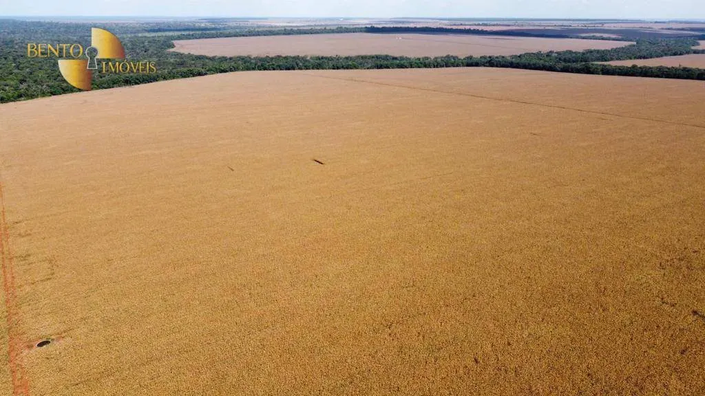 Fazenda à venda de 3.600 ha em Tabaporã, MT, Brasil