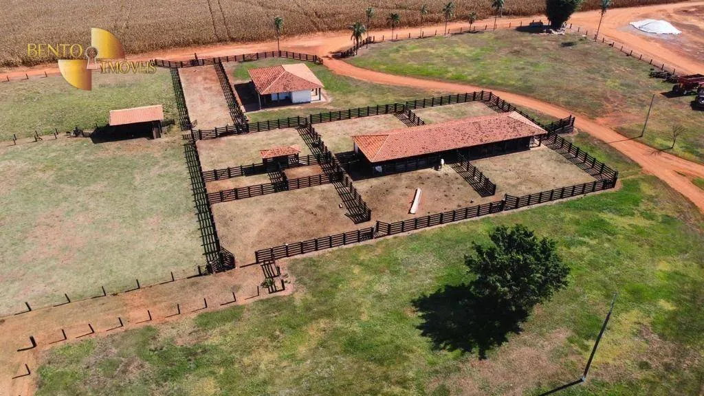 Fazenda à venda de 3.600 ha em Tabaporã, MT, Brasil