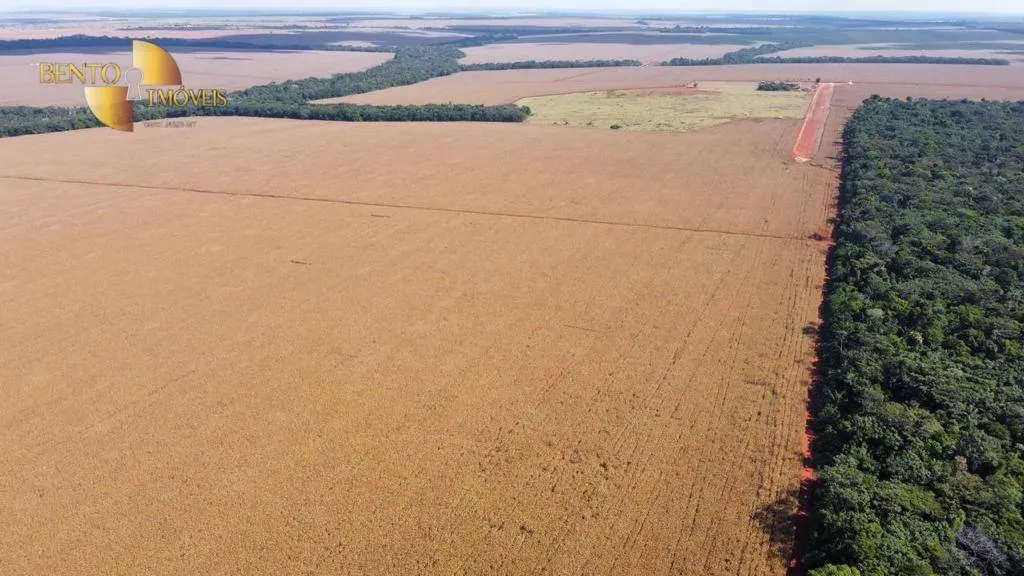 Fazenda à venda de 3.600 ha em Tabaporã, MT, Brasil