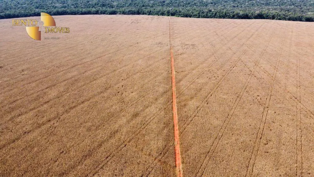 Fazenda à venda de 3.600 ha em Tabaporã, MT, Brasil