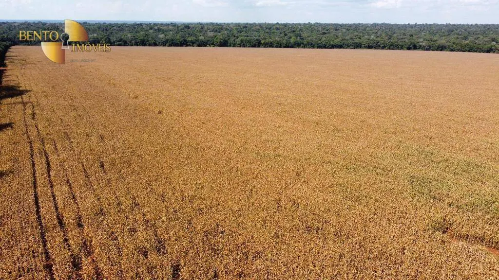 Fazenda à venda de 3.600 ha em Tabaporã, MT, Brasil