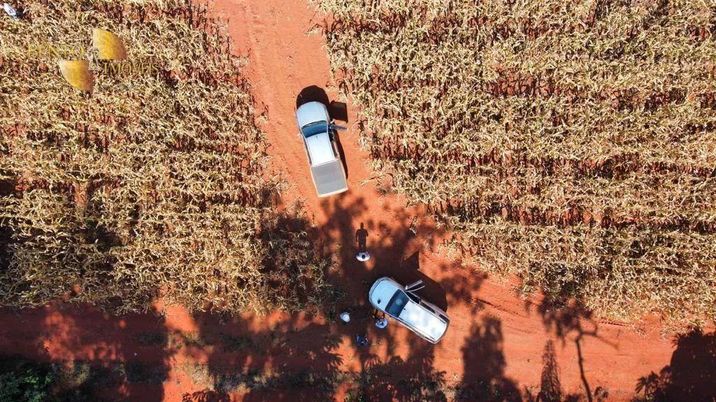 Fazenda à venda de 3.600 ha em Tabaporã, MT, Brasil